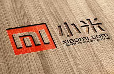 雷軍成立米家后mijia域名火了，您有保護自己企業(yè)的域名么？